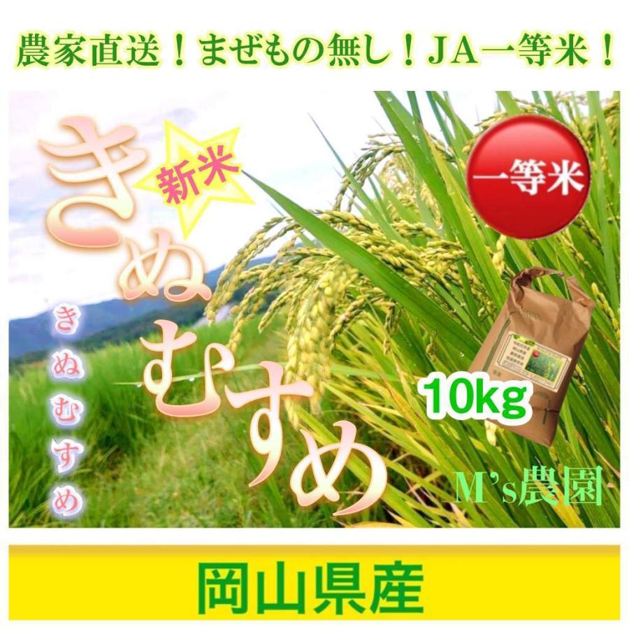 令和7年度 新米「きぬむすめ」10kの玄米です 米 きぬむすめ 玄米10kg