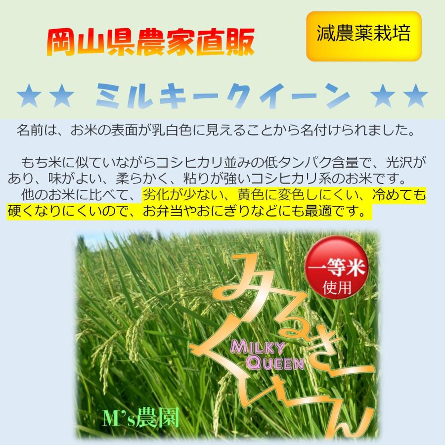 想像を超えての ⭐️yumin0328様専用⭐️ ✳️令和4年産✳️ミルキー
