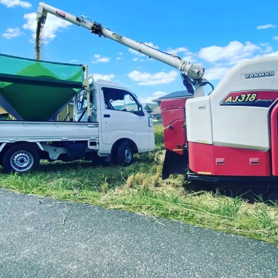 想像を超えての ⭐️yumin0328様専用⭐️ ✳️令和4年産✳️ミルキー