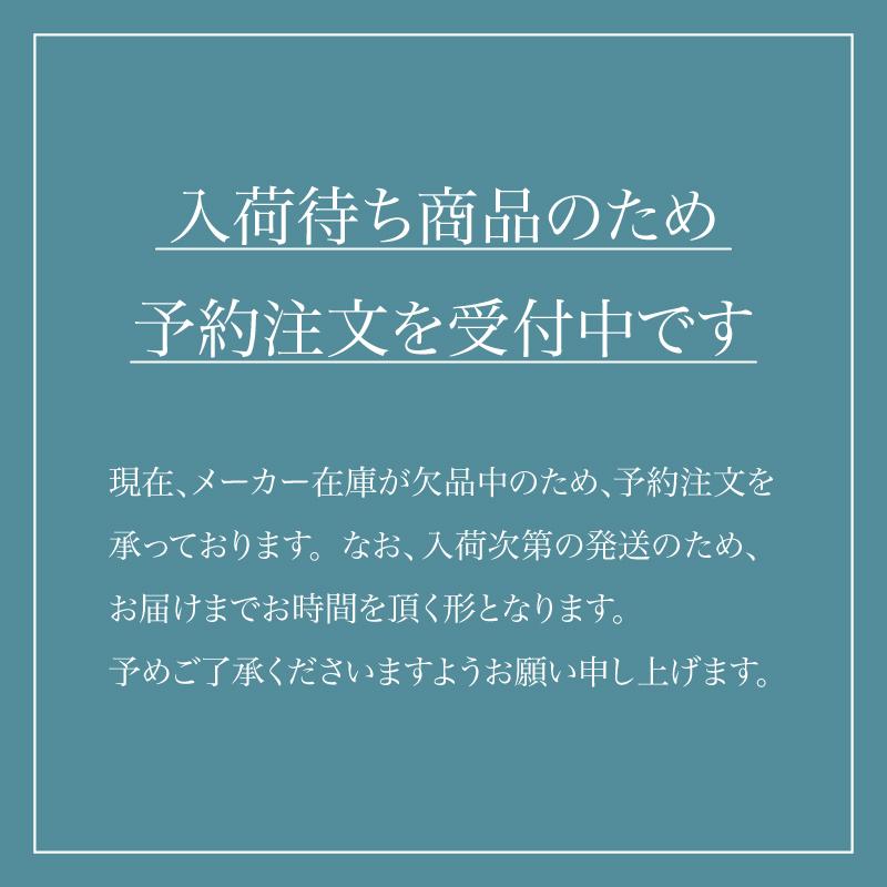 セイコー プレザージュ SEIKO PRESAGE 自動巻き メカニカル 腕時計 メンズ ベーシックライン カクテルシリーズ SARY132 正規品 | SEIKO | 01