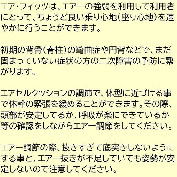 車椅子 軽量 コンパクト 車いす 折りたたみ 介助式 ノーパンク エアフィッツ スタンダード 種類 AFS-16 ミキ｜mshouseshop｜09