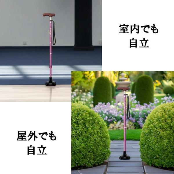 ミキ 爆買 杖 自立式 つえ 自立 軽量 おしゃれ 女性用 男性用 介護