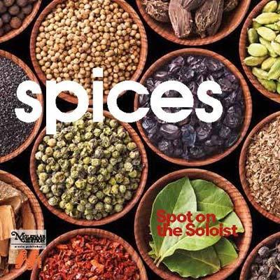 スパイス：バンドとソリストのための作品集 | ポルトガル空軍バンド  ( 吹奏楽 | CD ) | 