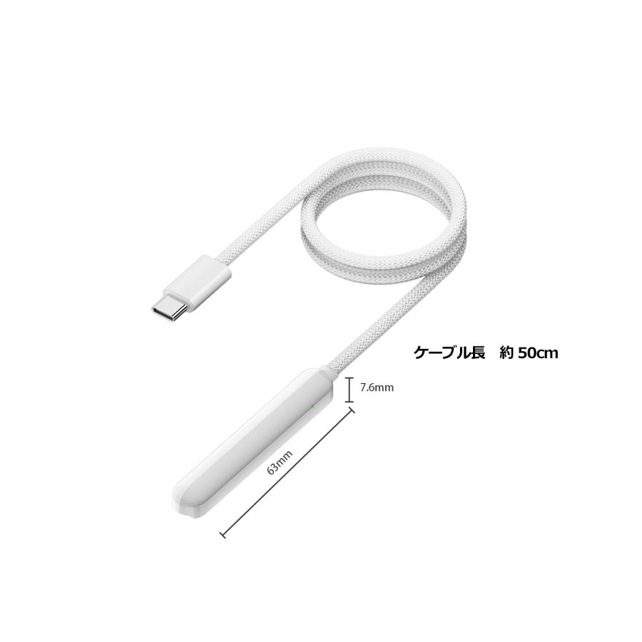 【39%OFF限定クーポン】適格請求書発行可 Apple Pencil用 充電アダプタ USB-C & Lightning 変換マグネット吸着 ペン先・キャップ 急速充電 ap 送料無料(39%) | MSL FORCE | 08