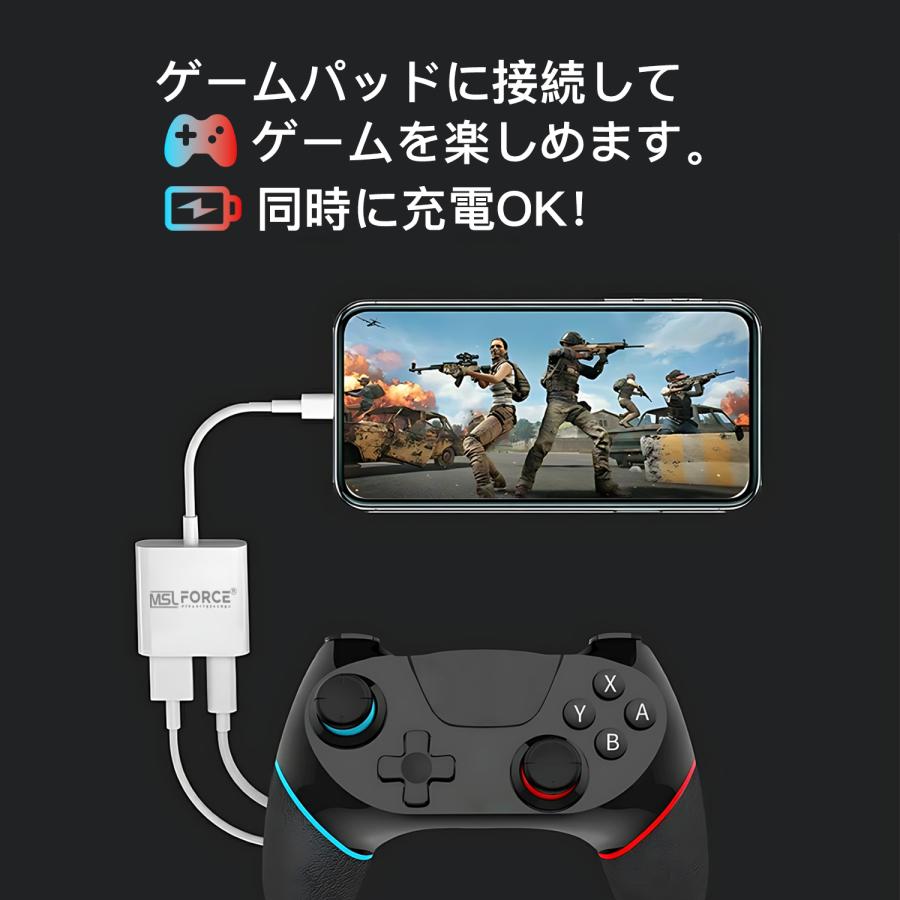 MSL FORCE 【750〜 1,580円 2個目半額/3個目タダ】変換アダプタ