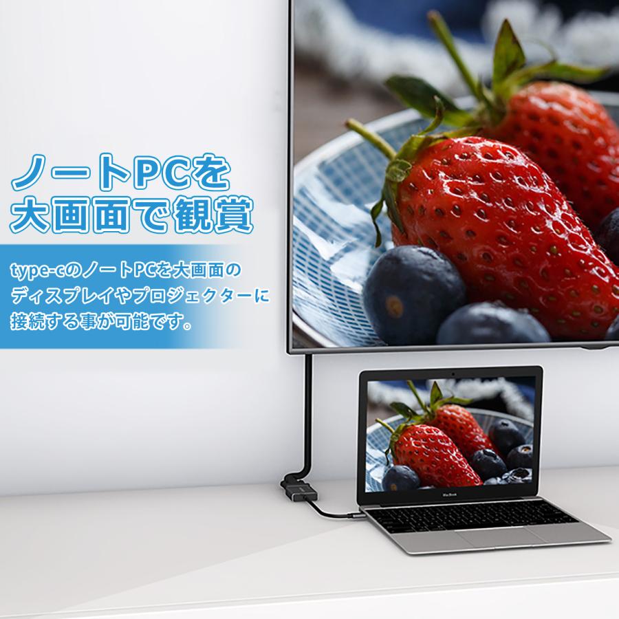 本日最大600円引き iPhone15 Plus Pro Max 対応 Type-C to DVI 変換アダプター 解像度4k @ 30hz でDVI-DとDVI-Iに対応（シルバー） uc0117 送料無料｜mslforce｜06