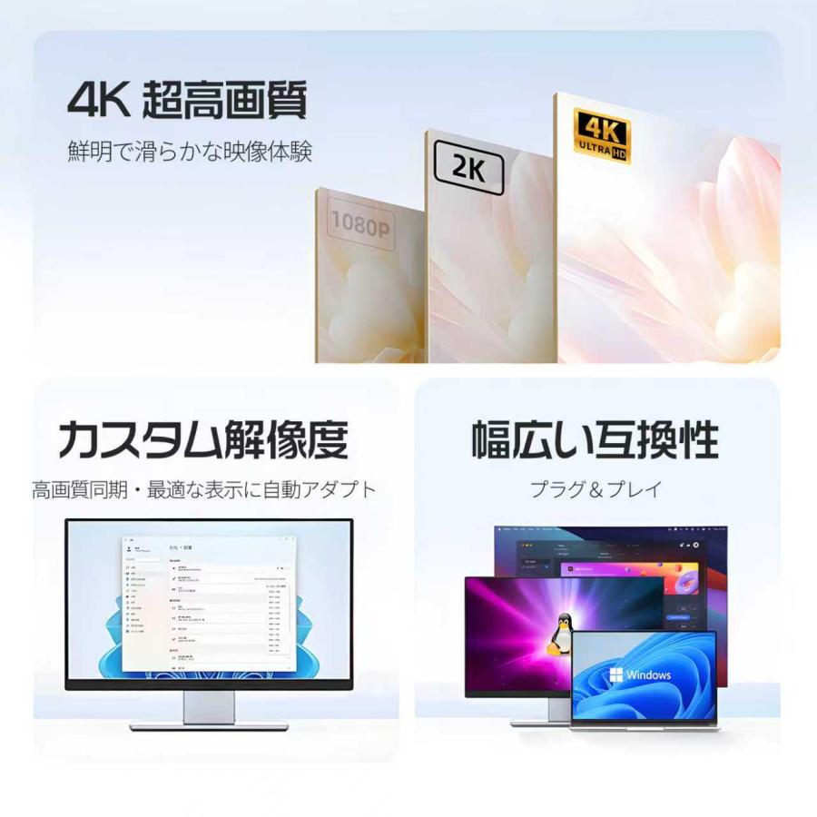 【750円から】ダミープラグ 仮想ディスプレイ アダプター 4K対応 HDMI DP USB-C miniDP  高解像度3840×2160 ドライバ不要  (39%) | MSL FORCE | 02