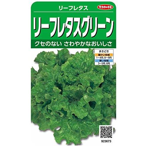 サカタのタネ 実咲野菜3673 リーフレタスグリーン リーフレタス 00923673