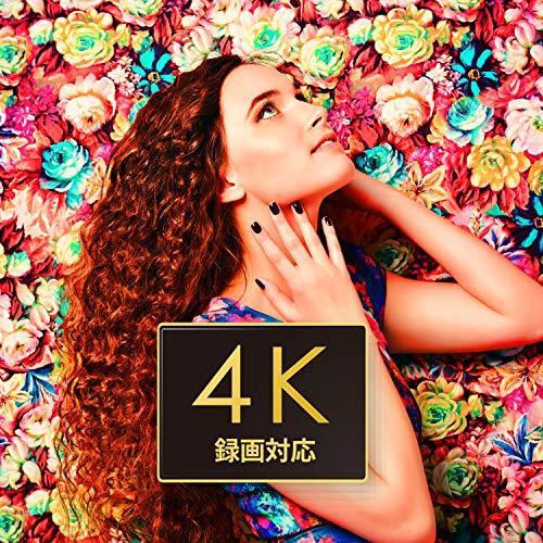 アイ・オー・データ 外付けHDD ハードディスク 4TB テレビ録画 4K録画 24時間連続録画 静音 ファンレス ディーガ&ビエラ推奨 日本製 4TB USB