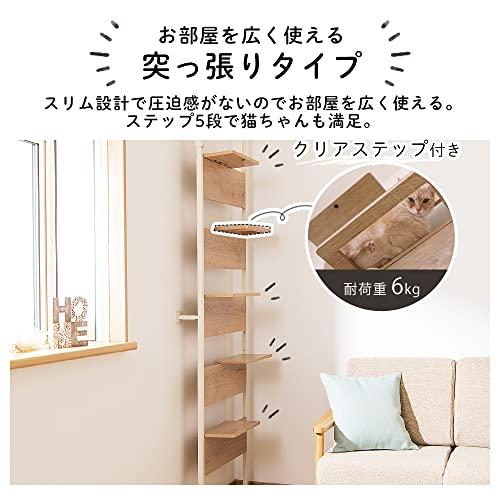 アイリスオーヤマ キャットステップ 覗ける透明板 キャットタワー キャットウォーク 省スペース CATS-68 ウォールナット ウォールナット CATS ／ メラミン樹脂