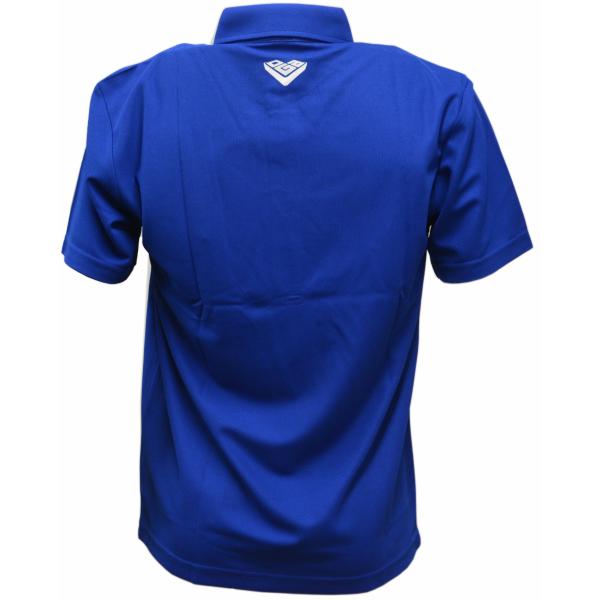 OGASAKA .オガサカ　カタログ外.ボタンダウンタウンポロシャツ.L.2枚 OGASAKA .オガサカ カタログ外.ボタンダウンタウンポロシャツ.L