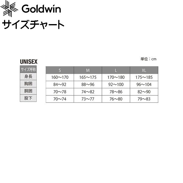 GOLDWIN（ゴールドウイン） スキーウエア Mサイズ ピューター ブラック