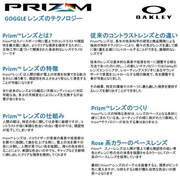 OAKLEY（オークリー） ゴーグル フライトパス オリンピック フリー