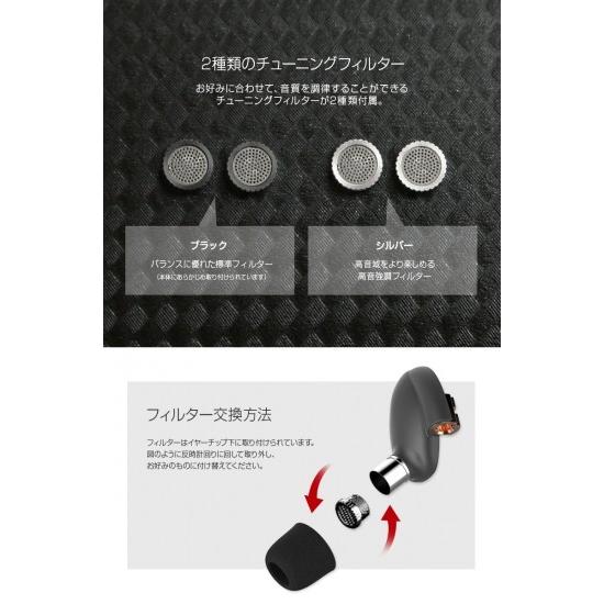 Beat-in＞ Beat-in HYBRID ダイナミックドライバー1基と、バランスド