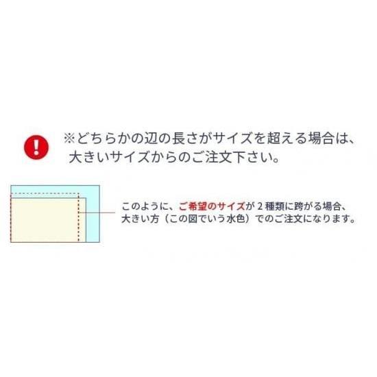 ニデック レクアアートM(厚さ3mm 501×381〜625×500mm) アクリル板 フリーカット可 反射防止膜付き 透過率97％以上 帯電防止機能付き 額縁 絵画 |  | 14
