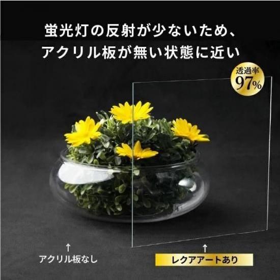 ニデック レクアアートM(厚さ3mm 501×381〜625×500mm) アクリル板 フリーカット可 反射防止膜付き 透過率97％以上 帯電防止機能付き 額縁 絵画 |  | 06