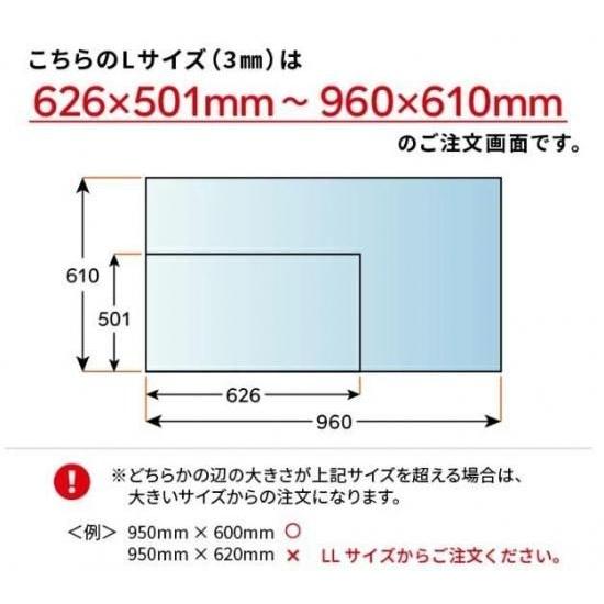 ニデック レクアアートL(厚さ3mm 626×501〜960×610mm) アクリル板 フリーカット可 反射防止膜付き 透過率97％以上 帯電防止機能付き 額縁 絵画 |  | 13