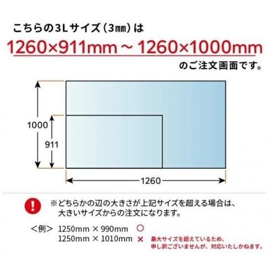 ニデック レクアアート3L(厚さ3mm 1260×911〜1260×1000mm) アクリル板 フリーカット可 反射防止膜付き 透過率97％以上 帯電防止機能付き 額縁 絵画 |  | 13