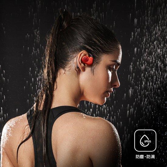 国内正規品 HAYLOU ハイロー ワイヤレスイヤホン Haylou OW01 PurFree