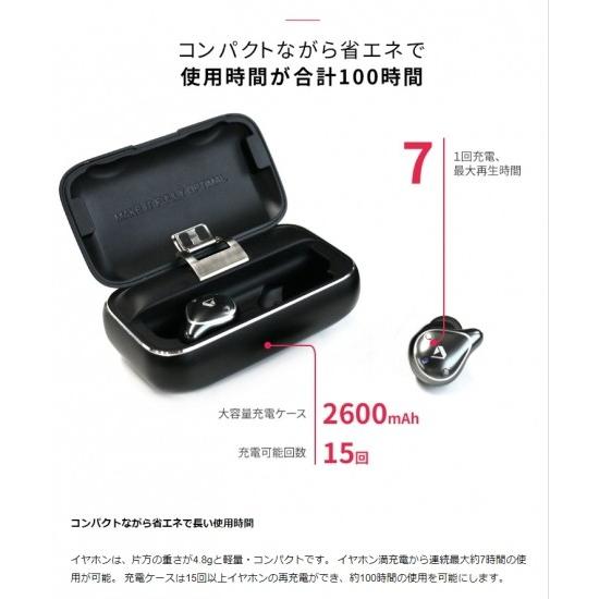 HACRAY ハクライ W1 完全ワイヤレスイヤホン アルミ充電ケース 防水