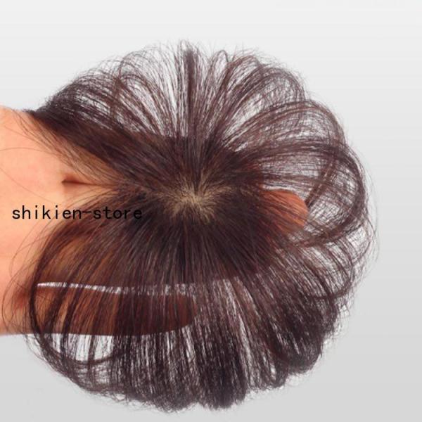 人毛 部分ウィッグ ポイントウィッグ ヘアピース 長さ10cm ウィッグ