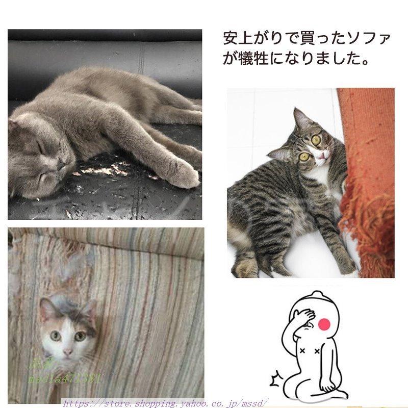 Sale 72 Off 猫 爪研ぎ防止 家具保護シート 7枚入り ソファー 爪とぎ防止シート 固定ピン クリア ペット 保護シート つめとぎ対策 剥がせる ウォールステッカー Noteworthy Collectibles Com