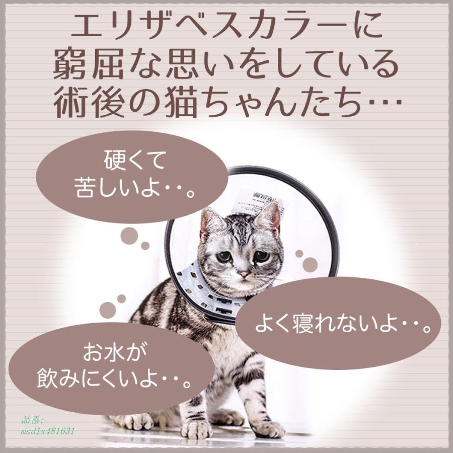 在庫処分大特価 ヘルスケア 介護用品 ペットの術後の傷口保護に 術後服 猫 犬 傷の保護 Xlサイズ Xl 術後服 Www Threeriversofs Com