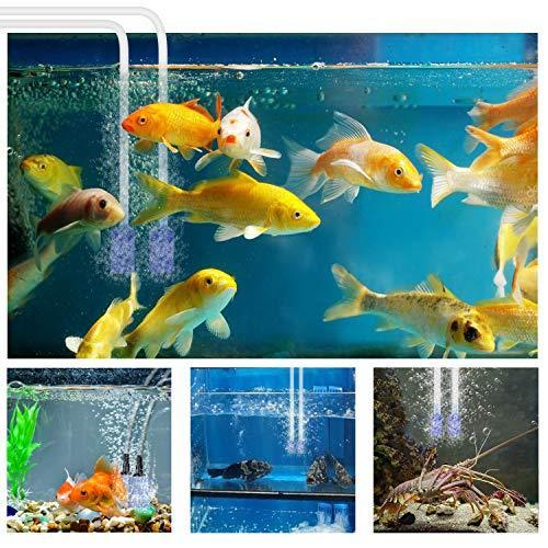 Ireenuo 2つ吐出口の酸素ポンプ 酸素エアーポンプ 水槽用ポンプ エアーポンプ水槽用 バブルストーン付き 3w 静音 排出量調節可能 水槽 魚売り場 釣り場用 酸素 Wssj B07t4lm3dr Ms Select 通販 Yahoo ショッピング