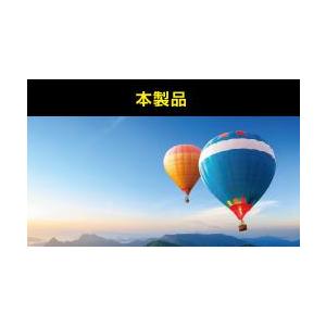 iPhone 14 iPhone 13 Pro iPhone 13 ガラスフィルム エレコム フレーム付き ブルーライトカット PM-A21BFLGFBL | ELECOM | 13