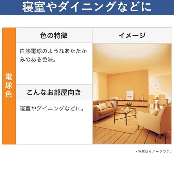 スリムパルックプレミア パナソニック スリムパルック プレミア 丸形
