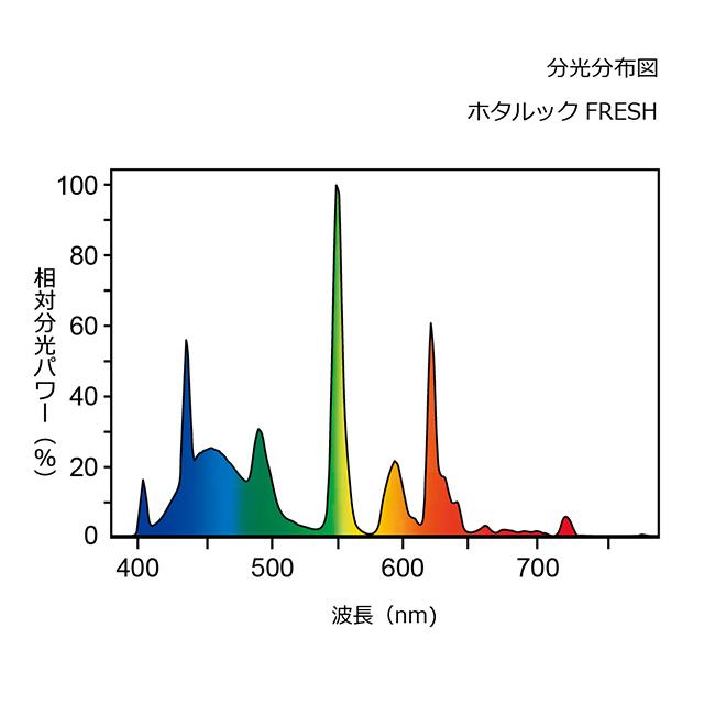 ホタルクス 旧NEC ホタルックスリムα 丸形スリム蛍光灯 FHC 高周波点灯