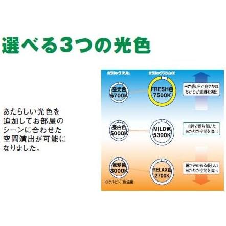 ホタルクス 旧NEC ホタルックスリムα 丸形スリム蛍光灯 FHC 高周波点灯