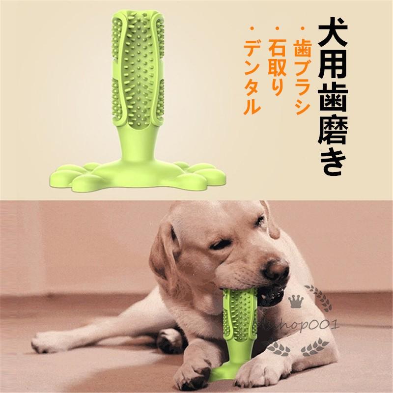 犬用歯磨きブラシ 犬デンタル おもちゃ 歯磨き 歯みがき 歯ブラシおもちゃ 無地 消臭 清掃グッズ 歯磨きシート 石取り Yh1161 エムズショップ 通販 Yahoo ショッピング