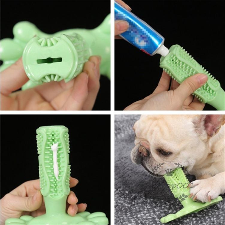 犬用歯磨きブラシ 犬デンタル おもちゃ 歯磨き 歯みがき 歯ブラシおもちゃ 無地 消臭 清掃グッズ 歯磨きシート 石取り Yh1161 エムズショップ 通販 Yahoo ショッピング