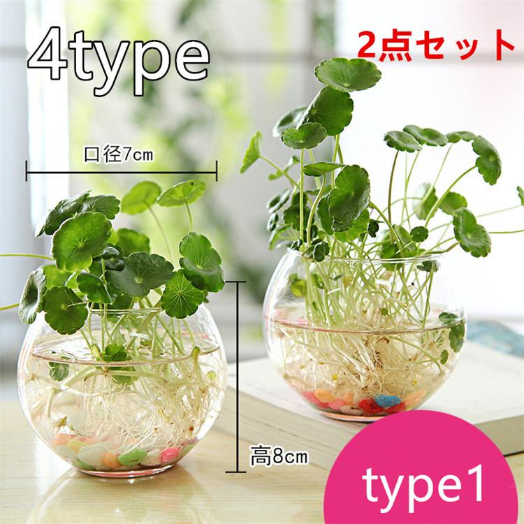 フラワーベース 2点セット 花瓶 おしゃれ ガラス 無地 クリア 工芸品 可愛い 生け花 植物 水栽培 水耕栽培 一輪挿し 多肉植物 エアプランツ 母の日 プレゼント Yh19 エムズショップ 通販 Yahoo ショッピング