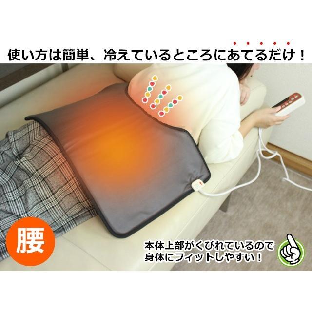 肩凝り　鍼　お灸　腰痛　RAPHA 低出力レーザ治療器　温熱治療 肩凝り 鍼 お灸 腰痛 RAPHA 低出力レーザー治療器 温熱治療 温熱