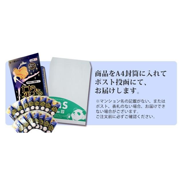 ルピエライン2本と 足すっきりシート 5枚入り 足裏シート 樹液シート 足うらシート ゲルマニウム 30枚 足リラックス
