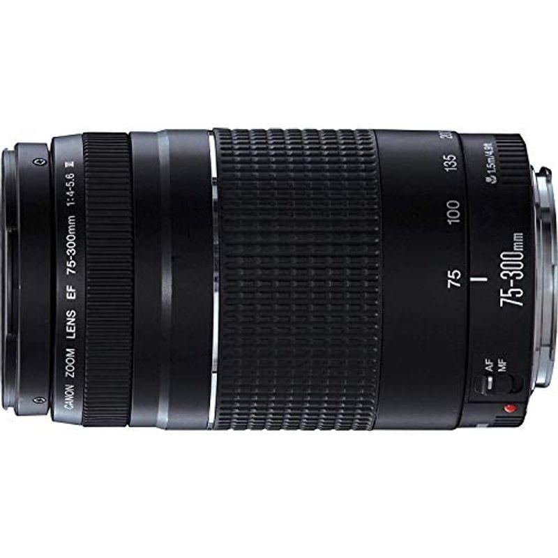 キャノンEF 75-300mm f/4-5.6 III 望遠ズームレンズ