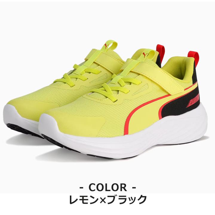 PUMA（プーマ） スニーカー キッズ ジュニア 男の子 19 20 21 21.5 22