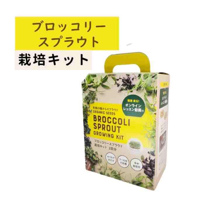 ブロッコリー（スプラウト）栽培キット グリーンフィールド  有機種子 Ｂ056ホワイト 代引不可 郵送定形外 全国送料無料 | 