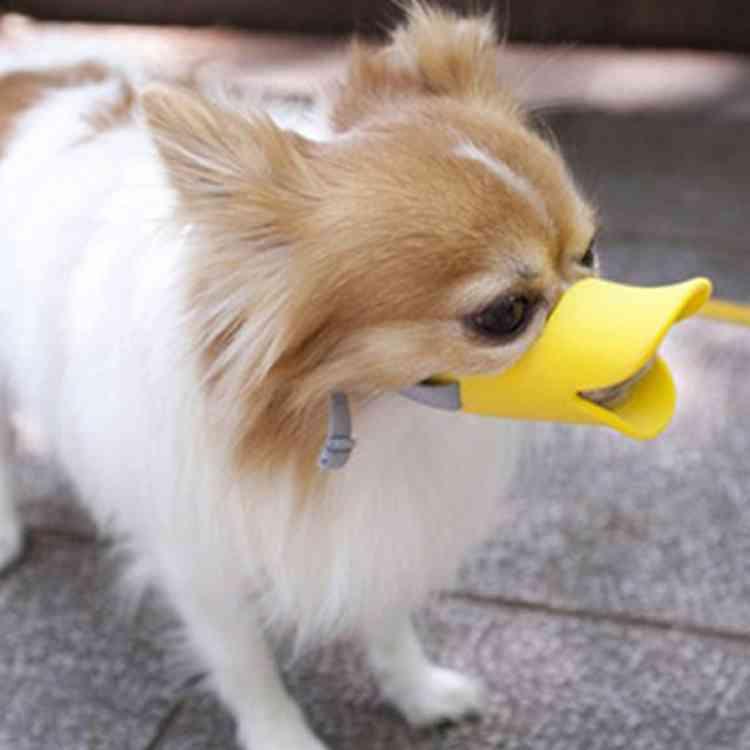 最大76 Offクーポン アヒルくん 口輪 犬 無駄吠え 噛みぐせ 拾い食い 防止 しつけ ペット用品 グッズ Shipsctc Org