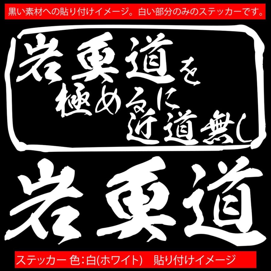 魚釣り ステッカー 岩魚道 を極めるに近道無し(イワナ 釣り) カッティングステッカー フィッシング 魚 クーラーボックス 車 ガラス かっこいい 耐水 | ブランド登録なし | 14