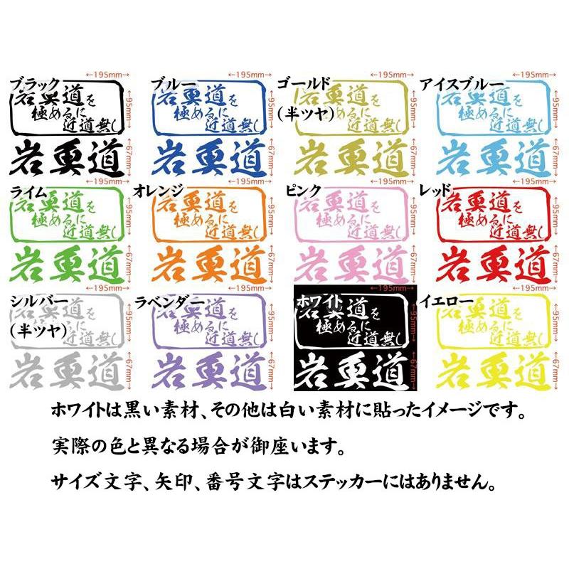 魚釣り ステッカー 岩魚道 を極めるに近道無し(イワナ 釣り) カッティングステッカー フィッシング 魚 クーラーボックス 車 ガラス かっこいい 耐水 | ブランド登録なし | 15