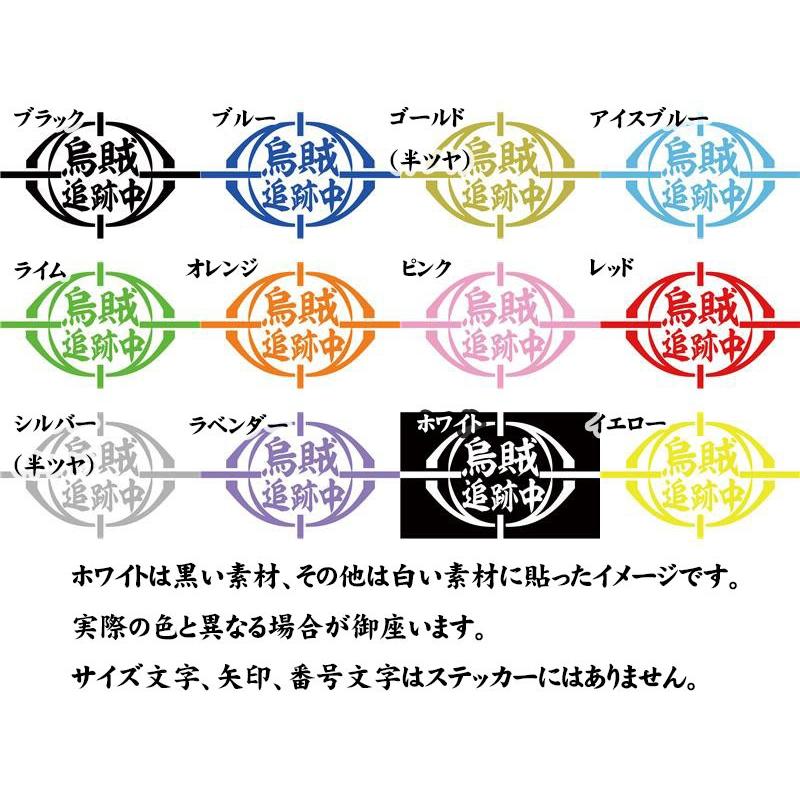 釣り ステッカー 烏賊 追跡中 (イカ)（選べる2種) カッティングステッカー フィッシング 魚 ボックス かっこいい 車 バイク ヘルメット 防水耐水 | ブランド登録なし | 02