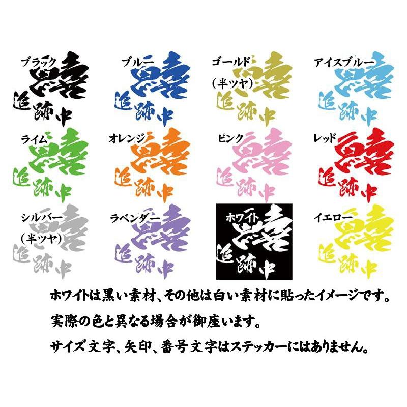 釣り ステッカー 鱚 追跡中 (キス) (選べる2種)・2 カッティングステッカー フィッシング 魚 ボックス リア 車 ガラス バイク ヘルメット 防水耐水 | ブランド登録なし | 02