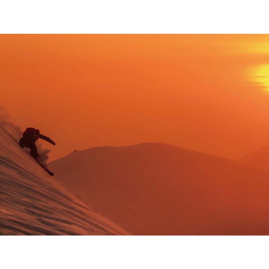 ID one (アイディーワン) 2017 FREE RIDE FR-PC Light 168cm ID76301