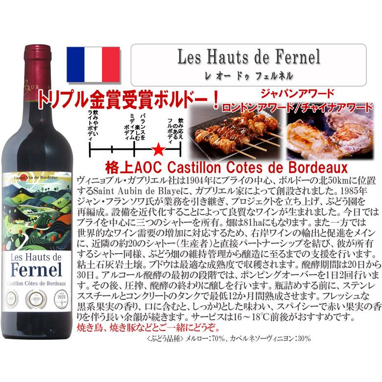 カスティヨン・コート・ド・ボルドー入り】すべて格上！ボルドー