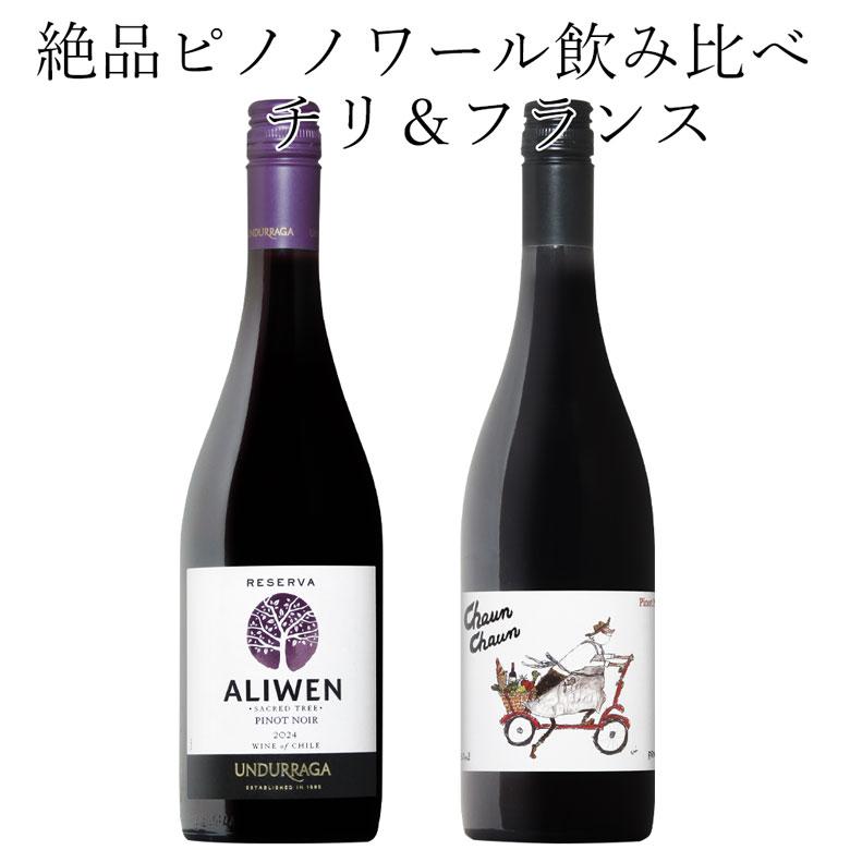 ワイン ワインセット 厳選ピノノワール 2本 セット フランス・チリ飲み 