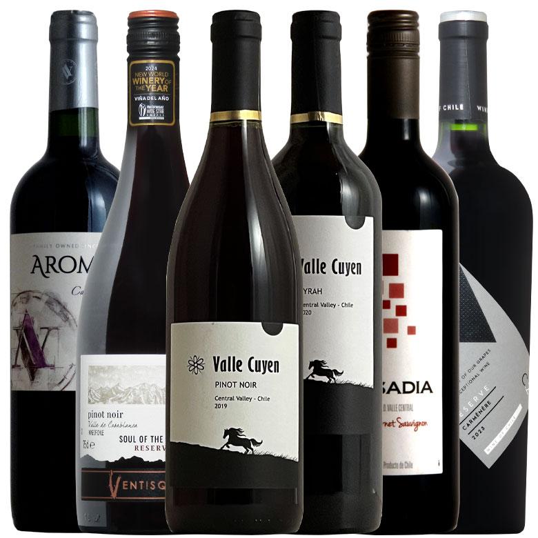 ワイン ワインセット リーズナブルチリ赤6種！豪華格上レセルバ入！最強コスパ6本セット 【送料無料】 10005342ワインの専門店ヴィネ