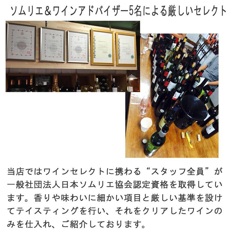 ワイン ワインセット 全てフランス！全て金賞受賞！赤ワイン飲み比べ12本セット 送料無料 ギフト プレゼント wine｜mt-wines｜14